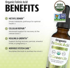 Dr. Green Mom USDA Organic Folinic Acid Drops - 500 mcg per Drop | Methylation Support B9 Supplements for Kids & Adults | Supports Neurological Function, Nervous System Health & DNA Synthesis