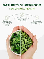 PURA VIDA MORINGA Organic Moringa Capsules Single Origin Moringa Powder Organic. Pure Moringa Leaf. Energy, Metabolism, & Immune Support. 120ct. 500mg Caps (Pack of 2)