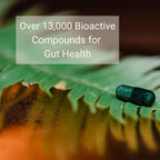 ThaenaBiotic Postbiotic - World's First Human-Derived Postbiotic Supplement - 90 Count