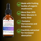 Lion’s Mane Tincture Enhanced, High Potency, Double Extracted, 60 Daily Doses
