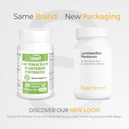 Supersmart - Lactobacillus Plantarum PostBiotic 20 Billion CFU per Day (Immuno-LP20) - Heat-Treated Probiotic Supplement | Non-GMO & Gluten Free - 60 Vegetarian Capsules