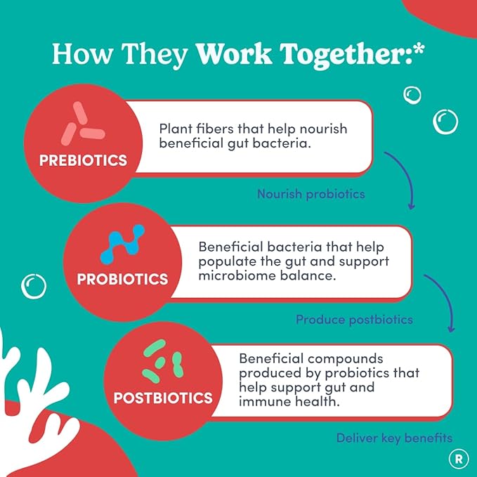 FIRST DAY Toddler Tribiotic Gummies (Ages 2-3) | Kids Probiotic Gummies | 3 in 1 Pre + Pro + Postbiotics for Kids Digestive & Immune Health - Kiwi, 60 Counts (30 Days Supply)