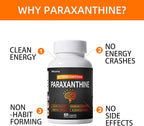 Paraxanthine Supplement – Clean, Crash-Free Energy for Focus, Cognitive Function, Exercise | Paraxanthine Beyond Caffeine | 60 Capsules