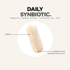 Codeage Daily Synbiotic Supplement - Prebiotics, Lactobacillus & Bifidobacterium Probiotics, L-Glutamine, Zinc L-Carnosine, DGL, Synbiotic Probiotic, BioPerine - Shelf-Stable - 30 Capsules
