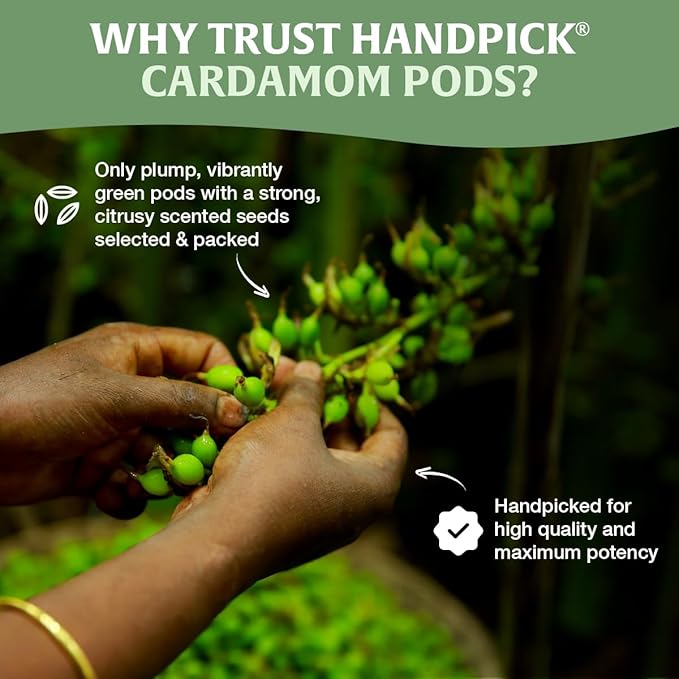 HANDPICK Green Cardamom Pods (57g / 2oz) Large size Green Elaichi | Pure, Non-GMO, Gluten Free | 100% Raw from India | Resealable Zip Lock Pouch