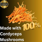 MagMushroom Cordyceps Mushroom Extract Liquid Tincture, Daily Supplement, Double Extracted for Maximum Potency, 2 Fl. oz., 60 Daily