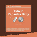 Bundle of Nootropic Memory Supplement with Vitamin B 12 Bacopa Monnieri Rhodiola Rosea DMAE Ginkgo Biloba and Mushroom Complex 10X Lions Mane with Reishi Chaga Maitake Shiitake for Brain Support