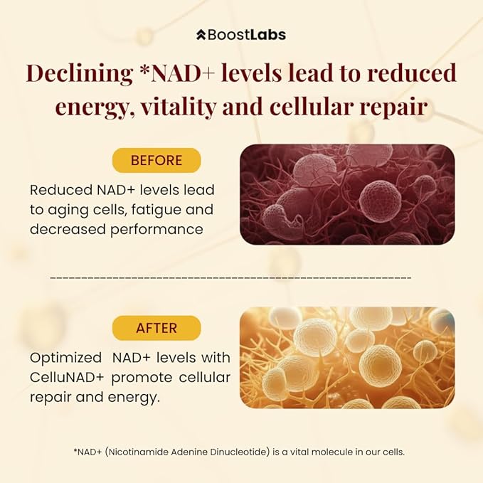 Liposomal NAD+ Supplement Liquid Drops - High Potency NMN Alternative for Cellular Energy, Healthy Aging & Brain Fog - Fast-Absorbing NAD Liquid Formula (2oz)