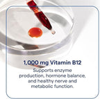 Trace Minerals Ionic B12 - Liquid Multivitamin for Hormone Balance & Healthy Nerve Function - Supports Metabolic Health - Enzyme Production - Natural Wellness Formula - 2 fl oz (59 Servings)