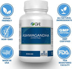 Well of Life Ashwagandha Supplements 1300mg Per Serving – with Black Pepper Extract for Calm, Focus & Sleep Support | 60 Vegan Capsules Non GMO GMP Certified USA Made