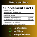 Morning Routine Mushroom Tincture, High Potency, Double Extracted, 60 Daily Doses, Lion's Mane and Cordyceps