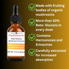 Daily Routine Mushroom Tincture, High Potency, Double Extracted, 60 Daily Doses, Blend of Lion's Mane, Cordyceps, Reishi, Turkey Tail, and Chaga