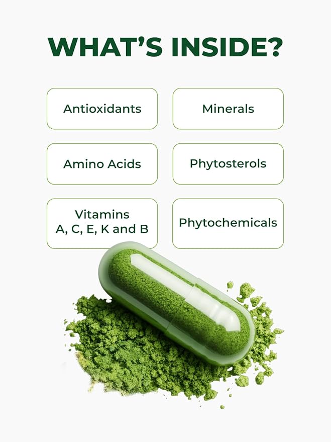 PURA VIDA MORINGA Organic Moringa Capsules, Pure Moringa Leaf Powder Single Origin for Energy, Metabolism & Immune Support, 120ct, 500mg Caps