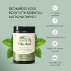 TERRA ORIGIN Healthy Superfood Greens Powder Drink with Probiotics & Ashwagandha | Adaptogen & Digestive Enzyme Fruit and Veggie Blend | for Gut Health, Energy, Immune Support* | 30 Servings | Mint