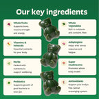 Gruns Adult Super Greens Multivitamin Gummies, Superfood Gummy Vitamins for Women and Men with Spirulina, Chlorella, Adaptogens & Prebiotic Fiber for Digestive Health (28 Count) (Pack of 2)