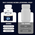 Superoxide Dismutase Supplement 500mg - SOD Plus with Liposomal Glutathione, AKG, Green Tea Extract, L-Arginine, Lysine, Resveratrol and Vitamin E for Immune Support, Antioxidant 180 Capsules