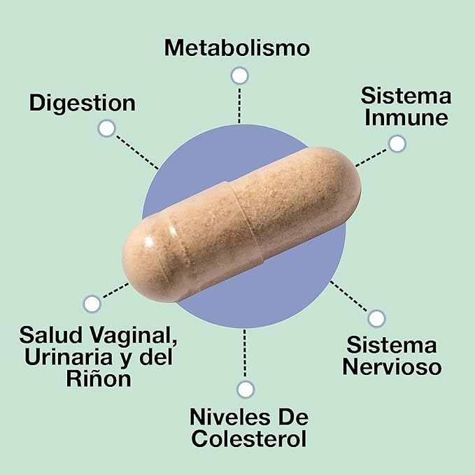 ASULABS® Formula Probiotica Avanzada con 18 Cepas Probioticas Clinicamente Seleccionadas para ayudar a eliminar Los malestares digestivos. para Hombres y Mujeres. Capsulas Vegetarianas.