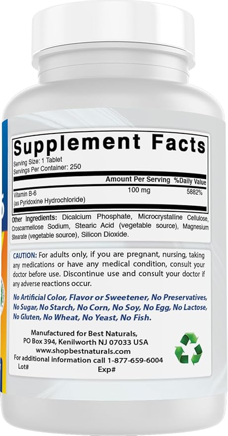 Best Naturals Vitamin B6 Tablet, 100 mg, 250 Count (Pack of 2)