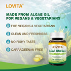 Lovita Algae Omega-3, Vegan and Plant-Based DHA & DPA, Fish Oil Alternative, 1000mg Algae Oil, Support Heart and Brain Health, Carrageen-Free, 90 Softgels (Pack of 3)