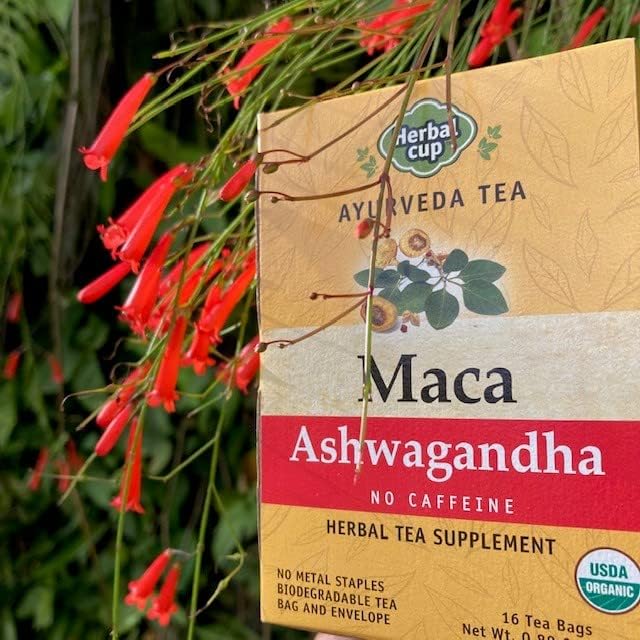 Herbal Cup Ayurveda Maca Tea, Organic Ashwagandha, No Caffeine Herbal Teas (16 Count, Pack of 3)