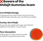 Better Alt Pure Himalayan Shilajit Resin Pack of 2 High Potency Gold Grade 150 Servings for Energy Boost & Immune Support, 85+ Trace Minerals, 75%+ Fulvic Acid, with Lab Test Report,400 mg