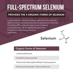 Total Selenium - 200 mcg, Plant-Based Selenium - Full Spectrum, Contains 4 Essential Organic Forms of Selenium Including Selenomethionine - Derived from Garlic - 60 Capsules