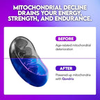 Urolithin A Supplement 500mg with 4-in-1 Power Blend of Spermidine 10mg, Shilajit 300mg & Cordyceps 400mg Per Serving - Boosts Cellular Energy, Strength, Longevity, Immunity & Healthy Aging