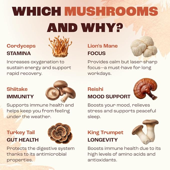 RYZE SUPERFOODS Mushroom Medium Roast Coffee USDA Organic with 6 Adaptogenic Mushrooms, USA Grown Instant Coffee for Better Energy, Focus Digestion Immunity with Lions Mane & Turkey Tail 30 Servings
