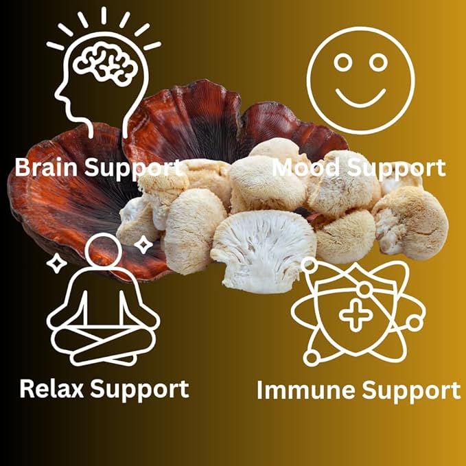 Evening Routine Mushroom Tincture, High Potency, Double Extracted, 60 Daily Doses, Reishi and Lion's Mane
