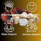 Evening Routine Mushroom Tincture, High Potency, Double Extracted, 60 Daily Doses, Reishi and Lion's Mane