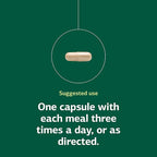 Standard Process Inc. Enzycore - 150 Capsules