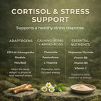 EVEKIND Cortisol+ – Cortisol Supplement for Women | Stress Support | Calm Mood, Focus & Steady Energy | KSM-66® Ashwagandha, Rhodiola, L-Theanine, Magnesium Glycinate | 60 Capsules