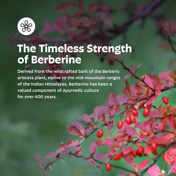 Earth's Splendor Berberine 500mg Capsules, Supports Metabolism (120ct Bottle, 2 Month Supply) Non-GMO, Vegan-Friendly