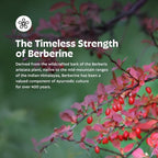 Earth's Splendor Berberine 500mg Capsules, Supports Metabolism (120ct Bottle, 2 Month Supply) Non-GMO, Vegan-Friendly