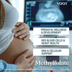 NOOT Organic Methylfolate 1000 mcg DFE, Plant-Sourced Folate with Naturally Occurring 5-MTHF for Energy, Mood, Methylation, Red Blood Cell Formation & Prenatal Readiness for Women & Men - 60 Capsules
