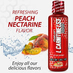 iSatori L-Carnitine LS3 3000, Liquid L-Carnitine with Acetyl L-Carnitine, L-Carnitine L-Tartrate, Stimulant Free Pre Workout, Low Calories, Sugar, Gluten, Keto-Friendly, Peach Nectarine (32 Servings)
