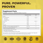 The Wellness Project Vaginal & Gut Probiotic + Prebiotic Gummies| Triple-Strength Clinically Studied Probiotics for Flora, Odor & pH Balance | No Added Sugars | Delicious Pineapple Flavor (Pack of 3)