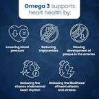 Well of Life Omega-3 Fish Oil – 60 Softgels | High EPA & DHA for Heart and Brain Health | Non-GMO, Premium Fish Oil Supplement | Made in USA, GMP Certified