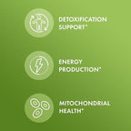 Dr. Mercola Methyl Folate - Supports Detoxification & Cellular Health - 5-MTHF Folate - Bioavailable Formula - 5 mg - 30 Capsules
