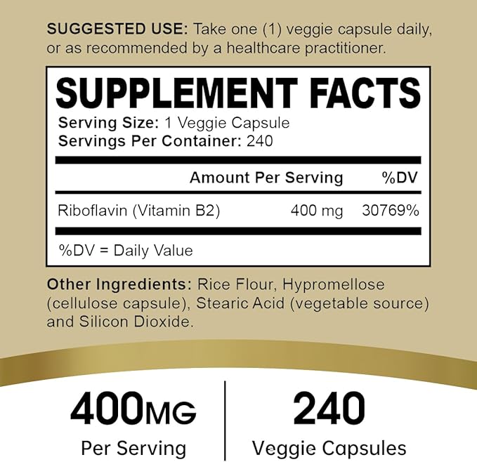 Riboflavin Vitamin B2 Supplement - B-2 Vitamin - Boosts Energy Metabolism & Cellular Function - Daily Nutritional Supplements for Men & Women - 400 mg Capsules - 240 Count