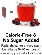 Theralogix TheraCran One Cranberry Capsules - 90-Day Supply - Supplement for Men & Women - to Support Urinary Tract Health* - 36mg Soluble PACs per Capsule - NSF Certified, 90 Count (Pack of 1)