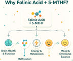 Folinic Acid Drops Kids 800 mcg + L-Methylfolate + B12 +P5P B6 Gentle Methylation Great Taste, Magnesium Glycinate, Vitamin D3 & C Folate Support for Brain,Focus, Mood & Cellular Health 5-MTHF Drops