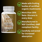 Lion’s Mane Extract Capsules for Brain Health