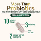 Probiotics 50 Billion CFU per Serving - 10 Strains & Prebiotics - Supports Women's pH Balance, Digestive, UT & Feminine Health - SVag Women Health Supplements - Shelf Stable Bottled USA - 120 Capsules