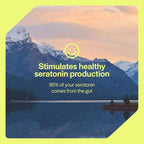 Balance + Relief | Fast Melt Pre + Probiotic for Mood & Stress - BlackBerry Flavor, 30 Powder Sachets
