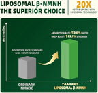 NMNH Supplement 2000mg, Liposomal Nicotinamide Mononucleotide Alternative for NAD+ and Healthy Aging - with Resveratrol, Urolithin A, TMG, CoQ10 - 120 Capsules (β-Dihydronicotinamide Mononucleotide)