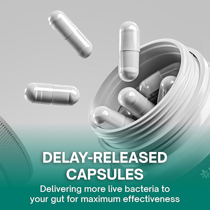 FloraBliss Christensenella Minuta and Akkermansia, Bifidobacterium longum, 8 Probiotic Strains, 50 Billion CFU, 90 Delayed-Release Capsules, with Cranberry Extract