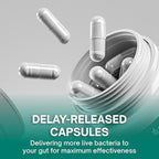 FloraBliss Christensenella Minuta and Akkermansia, Bifidobacterium longum, 8 Probiotic Strains, 50 Billion CFU, 90 Delayed-Release Capsules, with Cranberry Extract