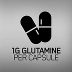 Optimum Nutrition L-Glutamine Muscle Recovery Capsules, 1000mg, 240 Count (Package May Vary) (Pack of 2)