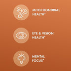 Dr. Mercola Curcumin Advanced - 500 mg Curcumin Root Extract - 95% Curcuminoids - For Vision Health, Digestion & Focus - Sustained Release - Non-GMO, Gluten-Free & Soy-Free - 30 Capsules (30 Servings)